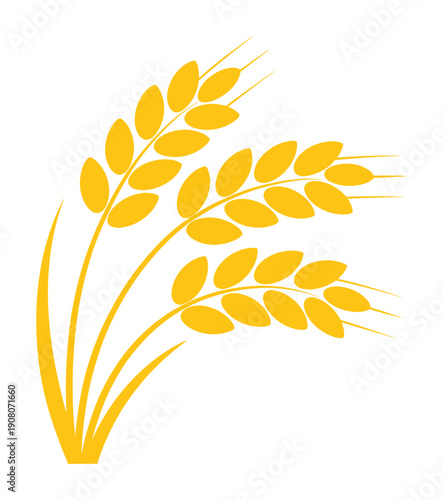 Vector illustration of a golden wheat stalk on a plain white background symbolizes agriculture