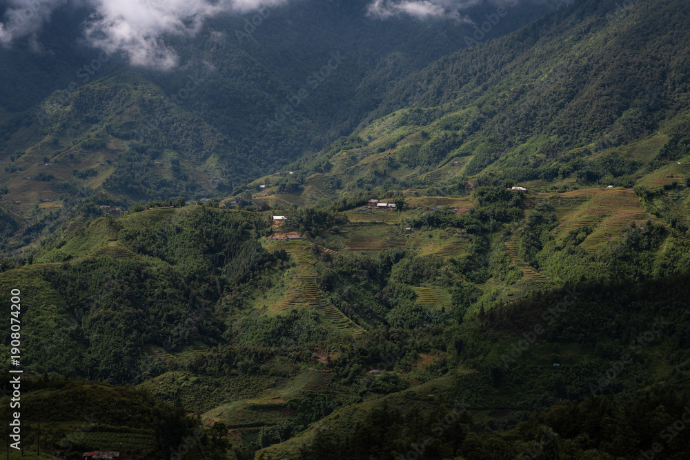 Obraz premium Mountains, rice terraces, nature, Sapa town in Vietnam