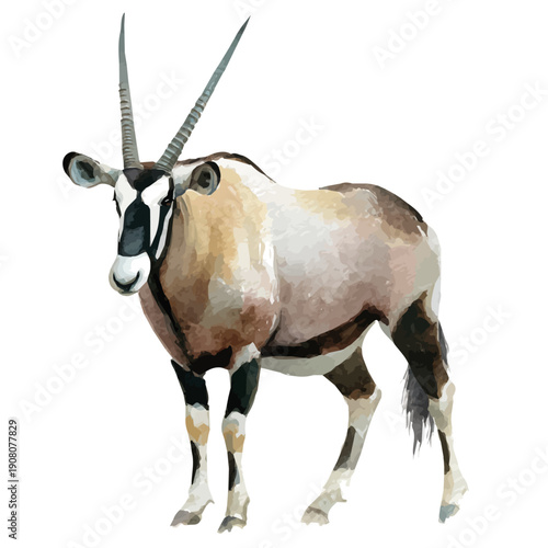 Oryx watercolor artwork, high-quality professional vector illustration isolated on a white background.