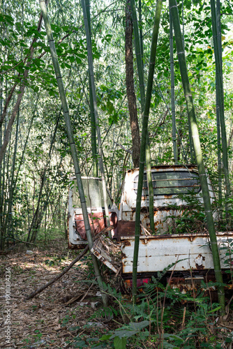 竹林に放置された錆びた軽トラックの廃車風景