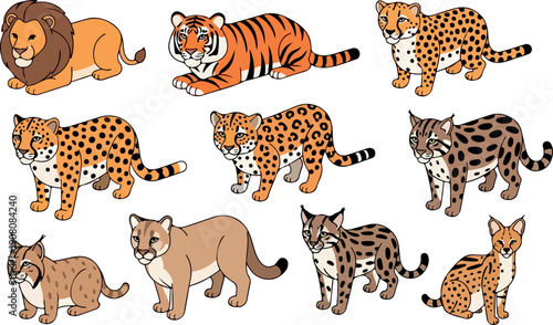 Collection of wild big cats including lion, tiger, leopard, and others in various poses and views