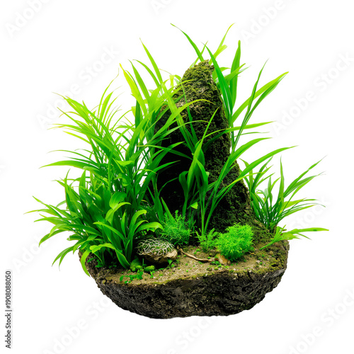 Potted Plant Grows on Stone in Indoor Space During Daytime