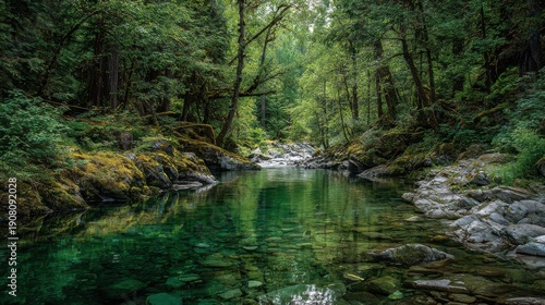 Clear water flows through a lush forest with greenery along the banks and rocks visible beneath the surface