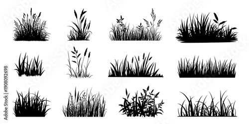 grass silhouettes collection