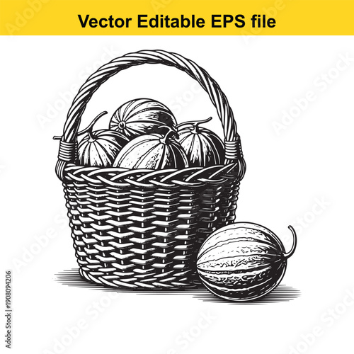  black and white illustration of a wicker basket with melons isolated on white background