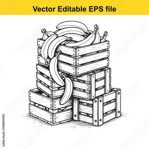  crates stacked with bananas in a black and white illustration isolated on white background