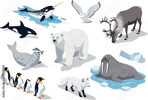 Arctic wildlife illustration featuring penguins, polar bears, walruses, and other animals in their icy habitat from a bird's eye view