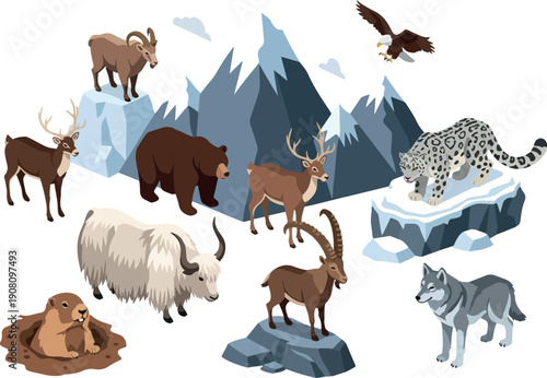 Wildlife scenes from the cold mountainous regions of the world, featuring various animals in their natural habitats