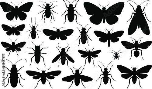 Assortment of black insect silhouettes featuring various butterflies, moths, and other crawling bugs on a white field