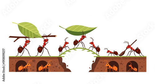 fire burning in the fireplace