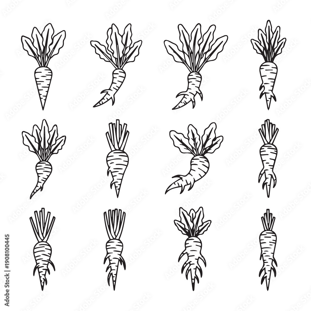 Fototapeta premium Doodle Root Vegetables with Leaves Collection, Hand Drawn Vector Illustration