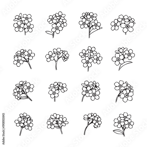 Forget Me Not Flower Illustrations, Delicate Line Art Sprigs, Botanical Vector Elements, Stock Media