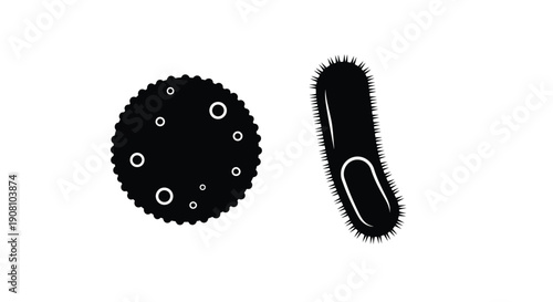 Black and white illustration of two different bacterial cell shapes