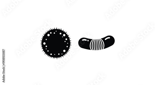 Simple black and white illustration of a sea urchin and a bean pod