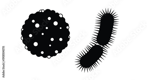 Black and white illustration depicting two different types of bacteria