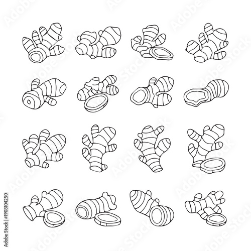 Ginger Root Illustrations Collection Isolated on White Background, Various Poses, Stock Media