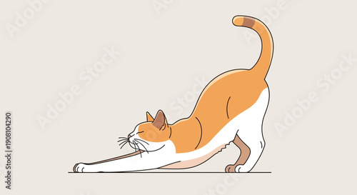 Stretching cat illustration with orange and white fur vector style on neutral backdrop
