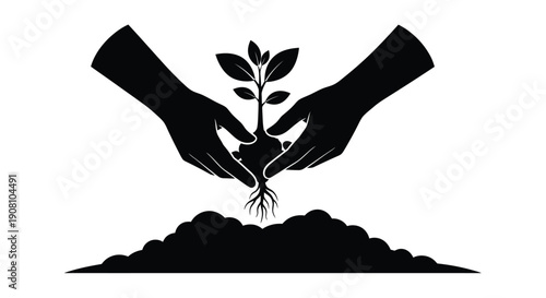 Hands gently cradling a seedling growing from dark soil