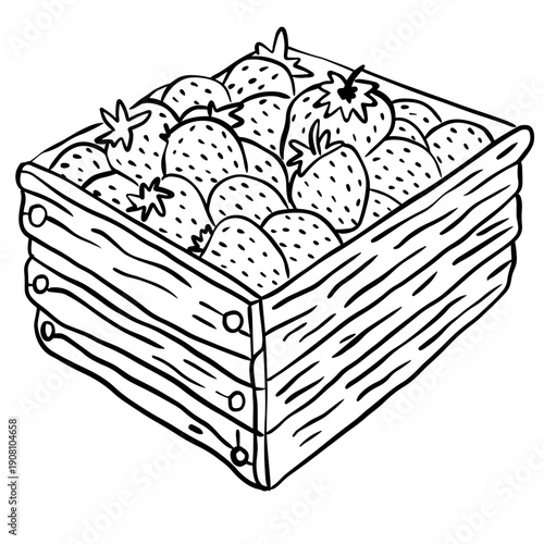 Hand Drawn Strawberry Crate Line Art Illustration, Wooden Box with Fresh Berries, Black and White Farm Sketch
