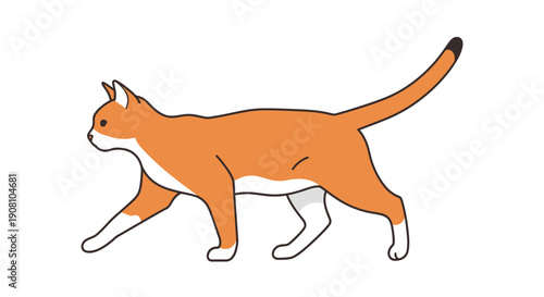 Orange and white cat walking sideways isolated on white background