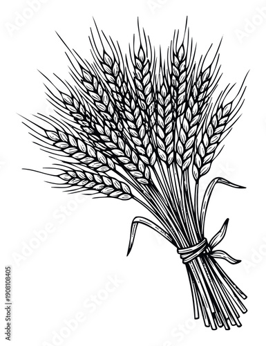 Detailed black and white graphic representation of a tied bundle of mature wheat ears, suitable for use in agricultural product branding, organic food labels, bakery advertisements, or
