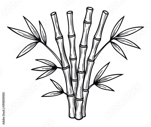 Graphic outline of a lush bamboo plant with multiple stalks and delicate leaves, ideal for oriental garden themes or ecofriendly brand identity graphics