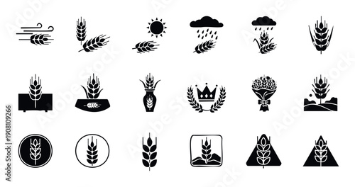 Comprehensive collection of wheat and grain icons symbolizing agriculture, harvest, natural elements, and prosperity, ideal for food packaging, farming materials, and organic product