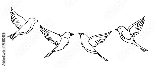 Four simple line drawing birds with open wings are flying freely in the air, perfect for childrens books, nature themes, or peaceful graphic projects.