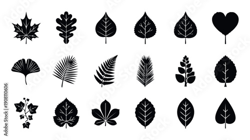 Diverse collection of natural tree and plant leaves in silhouette style for seasonal designs, nature themes, or educational materials.