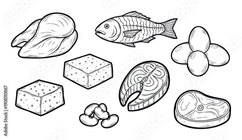 Collection of protein rich food sources such as chicken, fish, eggs, tofu, beans, salmon, and beef steak perfect for cooking guides and balanced nutrition plans.