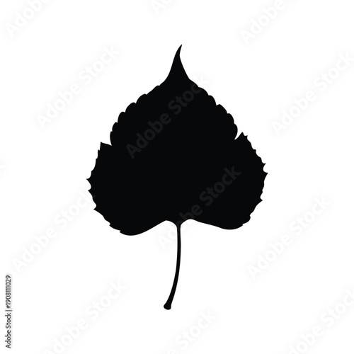 aspen leaf silhouette vector illustration, Silhouette of a birch leaf with detailed veins and edges, perfect for nature-themed vector illustration