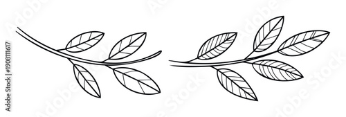 Minimalist outlined botanical branches with simple leaves provide versatile decorative elements perfect for natureinspired branding, web graphics, ecofriendly product packaging, or