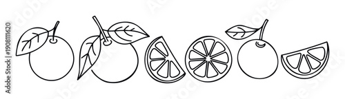 A fresh assortment of citrus fruits including whole oranges with leaves and various slices and cross sections, perfect for healthy food concepts, recipes, and refreshing drink packaging or