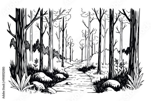Explore a tranquil forest with tall trees and a winding path leading into the wilderness, perfect for naturethemed graphic backgrounds and adventure storybook covers