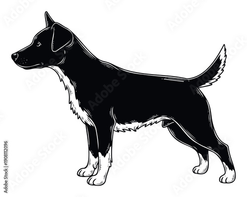 Black and white graphic silhouette of a domestic dog standing in profile, perfect for petrelated branding, animal welfare campaigns, or veterinary clinic decorations