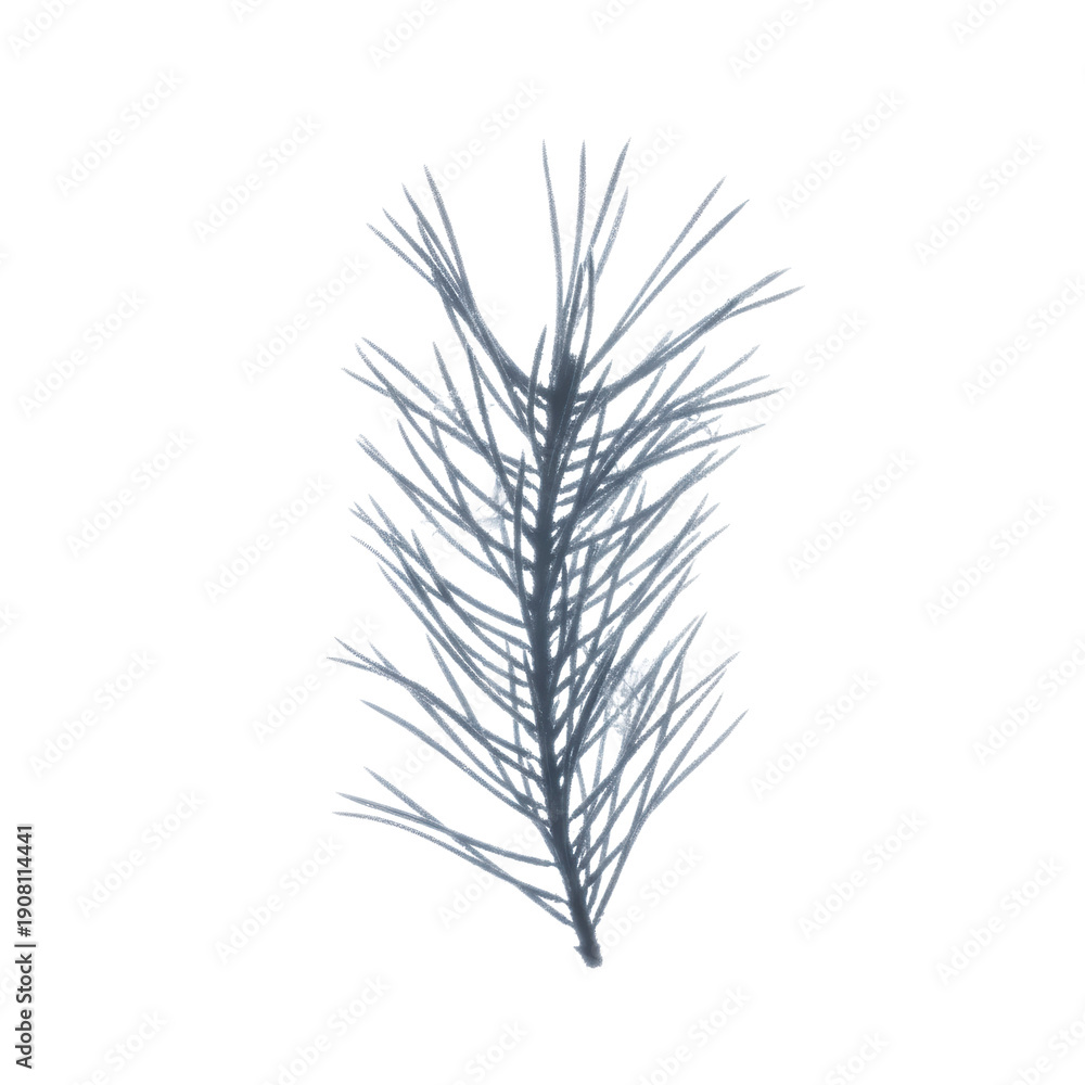 Fototapeta premium Abstract Plant on Black Background