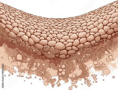 Isolated a realistic Dry skin with dead cells, illustrating dull, aged, and moisture lacking skin. Ideal for cosmetic and beauty product concepts. 3D rendering vector art with white background.