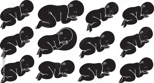 Black and white illustration of multiple sleeping baby seals