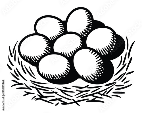 A Nest Full of Eggs: A Simple Illustration of Nature's Bounty