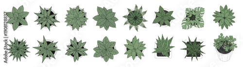 Vector Top View Potted Indoor Plants Set for Architectural Floor Plans