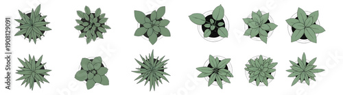 Flat Vector Isometric Trees and Bushes Set for Landscape Design