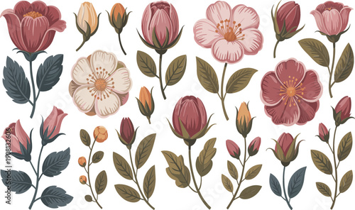 Vintage floral elements collection with blooming flowers and leaves, botanical hand drawn style vector illustration