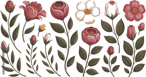 Vintage botanical flower illustration set with hand drawn blooming flowers and leafy branches, elegant floral elements isolated on white background