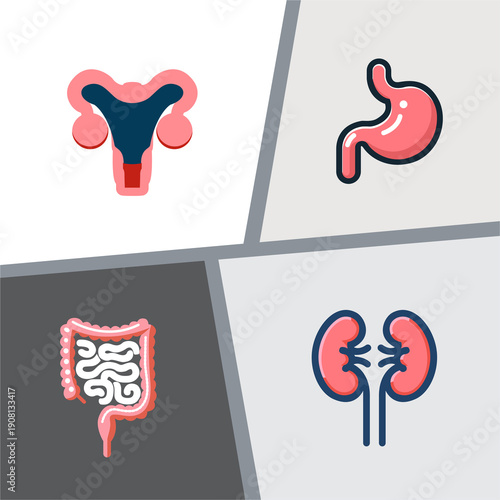 Human Organ Icon Set