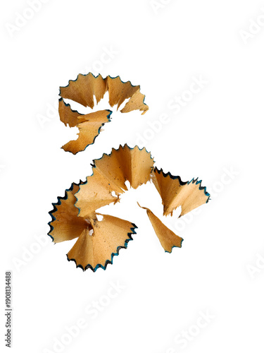 Pencil shavings creating spiral patterns and texture on transparent background