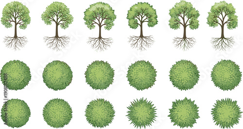"Collection of diverse tree and bush illustrations in grid format, showcasing foliage textures, root structures, and botanical variety for landscape design, education, and digital art resources"