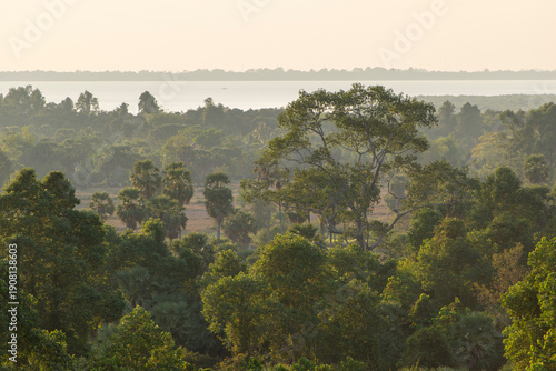Photography Tha Cambodian jungle near Angkor Wat, early evening sunshine with light haze