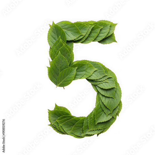 Fresh green leaf number five, isolated on white background