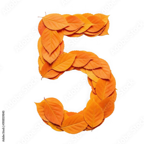 Creative orange number 5 made of paper for design projects