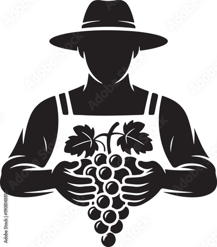 Farmer Silhouette Holding Fresh Grapes Harvest - Vineyard Agriculture